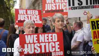 Ministers accept three-month deadline for blood scheme