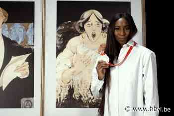 BV’s vertellen bijzondere verhalen bij schilderijen in Hasselt: “Neen, dit kan je niet zelf maken”