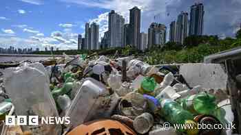 Plastic-eating bacteria can help waste self-destruct