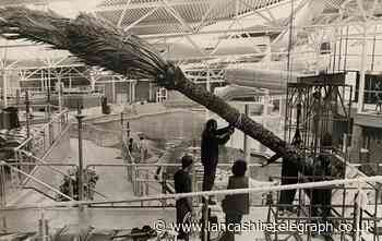 Waves in Blackburn got its own palm tree as well as slides
