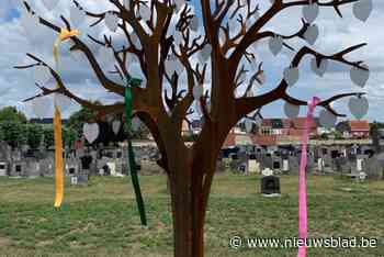 Ouders kunnen hun sterrenkindje laten registreren