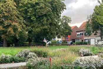 Mortsel roept op om deel te nemen aan ‘Maai Mei Niet’ na het vergroenen van enkele straten