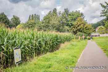 Gecontesteerde verkaveling ligt opnieuw op tafel: stad geeft alvast groen licht voor uitbreiding voetweg