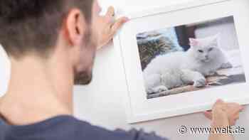 Fotos richtig ausdrucken – So machen Sie das Beste aus Ihren Smartphone-Bildern