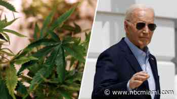 What does the reclassification of marijuana mean? Here is all you need to know