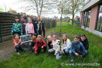 MOZA-bos geeft startschot voor vergroeningsproject van basisschool Mozaïek: “Nieuwe speelplaats moet de eyecatcher worden van de school”