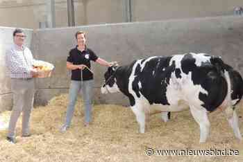 Hoevewinkel met groenten en fruit en hoevewinkel met vlees slaan handen in elkaar voor een heel korte keten