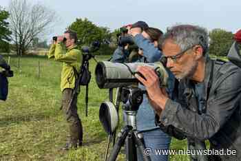 “Indrukwekkend veel” vogelsoorten gespot aan Schulensbroek