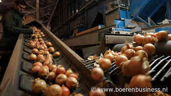 Bewaarseizoen biologische markten nadert einde