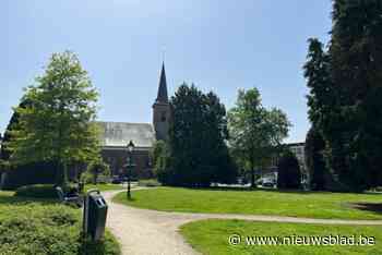 “Het krioelt hier van de ratten”: buurtbewoners reageren op aanhoudende overlast op Laar in Aartselaar