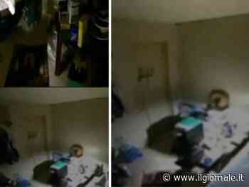 "Condizioni miserevoli". Il figlio di Gheddafi imprigionato sotto terra in Libano