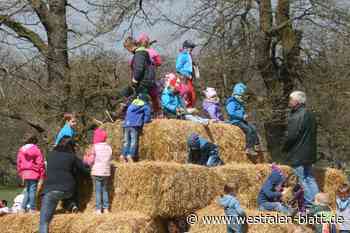 Tierpark Sababurg: Großer Frühlingsmarkt mit mehr als 70 Ausstellern