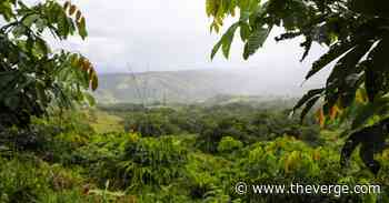 Costa Rica restored its forests and switched to renewable energy — what can the world learn from it?