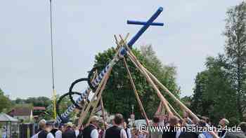 Der neue Maibaum ist da – das „Traditionsstangerl“ steht wieder in Salmanskirchen