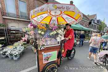 Lentehappening in Hulshout profiteert van eerste echte lenteweer