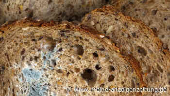 Wegwerfen, abschneiden oder essen: Was tun mit angeschimmeltem Brot?