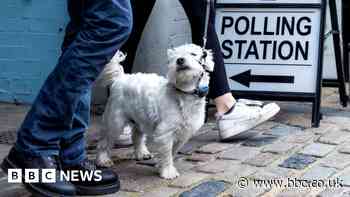 What to watch out for in the local elections