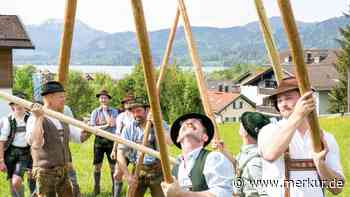 Neun neue Maibäume im Landkreis Miesbach: Die schönsten Bilder vom Aufstellen