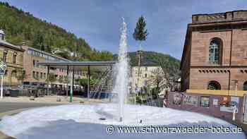 Die Maischerze in der Region: Von Schaumbrunnen bis Bierpipeline