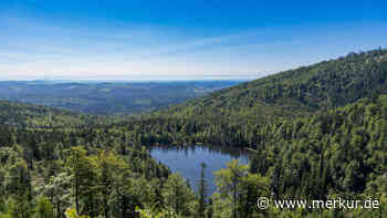 Der älteste Nationalpark Deutschlands befindet sich in Bayern – und hält weiteren Rekord