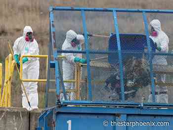 'A place that nobody wants to be': Police search Saskatoon landfill for Mackenzie Lee Trottier