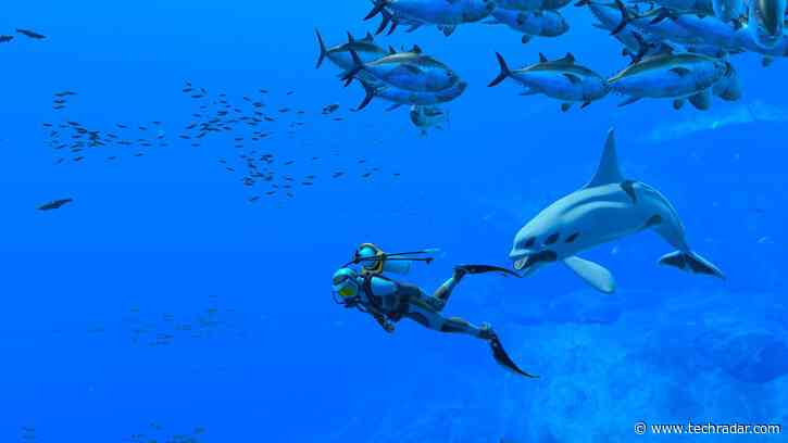Endless Ocean Luminous review - splendid Switch spelunking