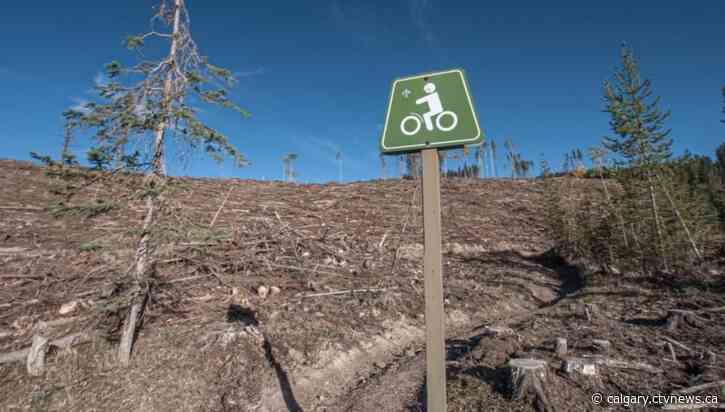 West Bragg logging plan damaging to kilometres of trail, recreation groups say