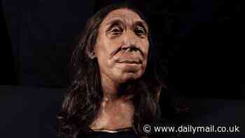 Meet Shanidar Z: Scientists recreate the face of a female Neanderthal whose head was FLATTENED during a rock slide 75,000 years ago