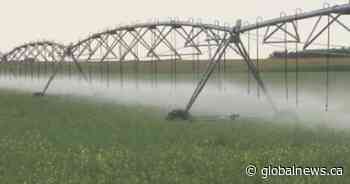 Alberta invests $19M for irrigation infrastructure upgrades