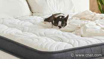 Best Gel Mattress for 2024     - CNET
