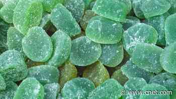 Yep, Sea Moss Gummies Are a Thing Now: How They Work, Health Claims, Risks     - CNET