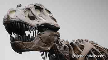 Popular Myth Debunked: New Research Reveals That Dinosaurs Were Not As Smart as We Thought