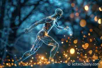 Secrets Beneath the Sweat: Scientists Decode the Molecular Impact of Exercise