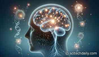 Scientists Uncover How Saturated Fats Trigger Alzheimer’s