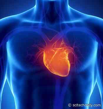 Rare Longevity Mutation Linked to Unexpected Cardiovascular Benefits