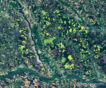 Romania’s Fields of Gold Captured From Space