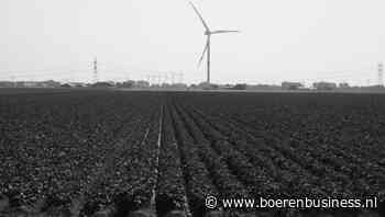 Aardappellandschap vergrijst en verschraalt