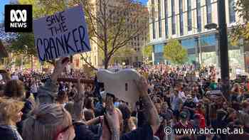 An international developer versus rock stars and politicians. This is the fight for an Adelaide icon