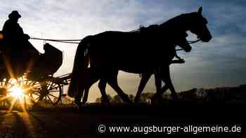 Pferdekutsche kippt um, Mann wird schwer verletzt: Hubschrauber im Einsatz