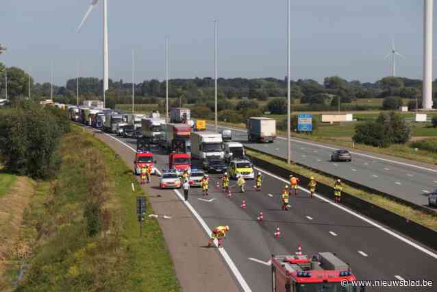 Voltallige gemeenteraad eist oplossing van minister voor files en ongevallen aan E17 in Lokeren: “We blijven erop hameren”