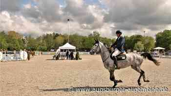 Reitturniere: Die Saison wird in Babenhausen eröffnet