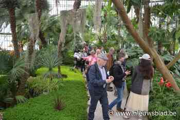 “Voor deze bloemenpracht maken mensen verre reizen”: Koninklijke Serres blijven elk jaar bekoren