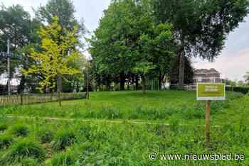 Stad gaat haar park opwaarderen: “Dit moet weer een ontmoetingsplaats worden”