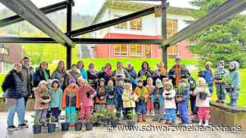 Kindergarten in Bad Herrenalb: Jedes Kind bekommt seinen Weihnachtsbaum