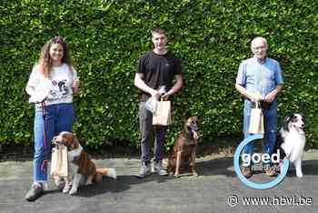 Honden en hun baasjes gaan op pad bij De Woef in Eksel