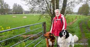 Volgens deze dierenarts hadden we al lang maatregelen kunnen nemen tegen de wolf: ‘Dan moet je nu niet gaan mekkeren’