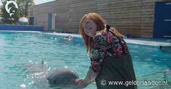 Minister beticht Dolfinarium van foute foto’s met dolfijnen, park is verbaasd: ‘Dit mogen we doen’