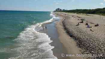 Florida issues warning about 'fecal water pollution' at two MORE popular beaches