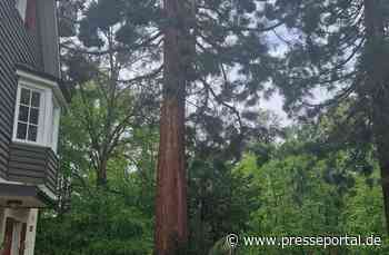 FW Stuttgart: Blitzeinschläge führen zu mehreren Feuerwehreinsätzen