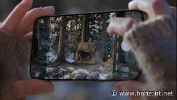 Mangelnde Big-Tech-Innovationen: Warum Marken jetzt wichtiger denn je werden